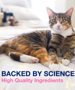 Nutramax Proviable Digestive Health Supplement Multi-Strain Probiotics and Prebiotics for Cats and Dogs - with 7 Strains of Bacteria, 80 Capsules 80 Count 26 91GG9hZJBfL