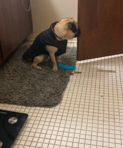 Kuoser Cozy Waterproof Windproof Reversible British Style Plaid Dog Vest Winter Coat Warm Dog Apparel for Cold Weather Dog Jacket for Small Medium Large Dogs with Furry Collar (XS - 3XL),Red M Medium (Pack of 1) Red 31 91GK nGMpSL