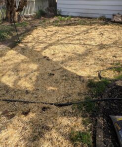 EZ Straw Seeding Mulch with Tack - Biodegradable Organic Processed Straw – 2.5 CU FT Bale (Covers up to 500 sq. ft.), Multi 31 91GMEQjmZL