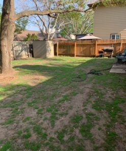 Scotts Turf Builder Grass Seed Bermudagrass, Mix for Full Sun, Built to Stand Up to Heat & Drought, 5 lbs. 5 lb. 79 91GMW6T7FNL