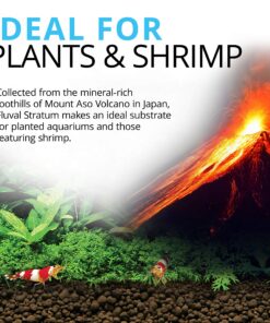 Fluval 12693 Plant and Shrimp Stratum for Freshwater Fish Tanks, 4.4 lbs. - Encourages Strong Plant Growth, Supports Neutral to Slightly Acidic pH 4.4 Pound (Pack of 1) Substrate 21 91GSBYpMhqL