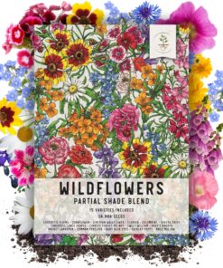 Alternative view of Seed Needs, Large 2.1 Ounce Package of 30,000+ Partial Shade Wildflower Seed Mixture for Planting (99% Pure Live Seed Butterfly Attracting - NO Filler) Annual Perennial Biennial - Bulk Large Pack (30,000 Seeds)