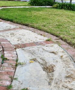 Worx Edger Lawn Tool, Electric Lawn Edger 12 Amp 7.5", Grass Edger & Trencher WG896 12-Amp 7.5" Electric Lawn Edger & Trencher 61 91Gc8ifWz L