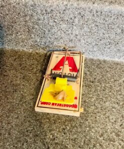 Victor 100061105 TRAP-4/PACK Easy Set Mouse Trap (4 Pack) 11 91GjOLfitL