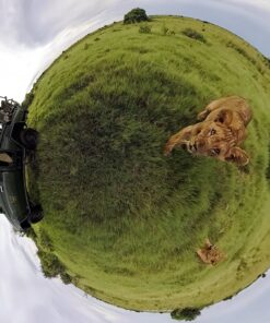 GoPro Camera Fusion - 360 Waterproof Digital VR Camera with Spherical 5.2K HD Video 18MP Photos 30 91Gjy uwGTL