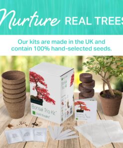 Plant Theatre Bonsai Tree Kit - Indoor Plant Growing Kit w/ 3 Mini Bonsai Seed Packs, 6 Pots, 6 Peat Discs and 6 Propagator Bags - Gardening Gifts for Men, Women and Room Decor - Crafts for Adults 34 91GjzBiWkpL