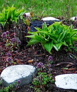 OM SYSTEM OLYMPUS M.Zuiko Digital 40-150mm F4.0-5.6 R Black For Micro Four Thirds System Camera, 3.75x Zoom Lens, Portable Design Standard Packaging 75 91Gmf33eL