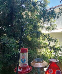First Nature 3055 32-ounce Hummingbird Feeder 35 91GsV Z5cCL