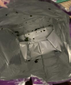 Annie Chun's - Roasted Seaweed Snacks, Sesame-Flavor, 0.35 oz, Keto, Vegan, Gluten-Free, Dairy Free, Light & Airy, Hearty & Delicious Snacks, 0.16-Oz (Pack of 12) 12 91Gt2ztCKL