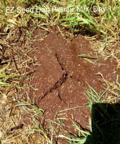 Scotts EZ Seed Dog Spot Repair Sun and Shade - 2 Lb., Mulch, Seed and Soil Amendment with Protectant and Tackifier, Repairs Pet Spots 2 lb. 1 Pack 61 91Guyp1SwBL