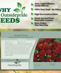 Outsidepride Gaillardia Pulchella Red Blanket Flower Heat & Drought Tolerant Garden Plants - 1000 Seeds 12 91GzPdTLlOL