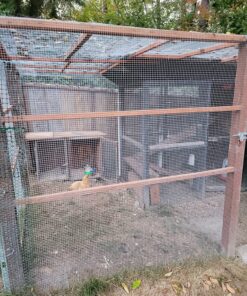 AMAGABELI GARDEN & HOME Hardware Cloth 1/2 inch 48inx50ft 19 Gauge Square Chicken Wire Galvanizing After Welding Fence Mesh Roll Raised Garden bed Plant Supports Poultry Netting Cage Snake Fence JW007 1/2inch 48inx50ft 43 91H0xPui12L 2