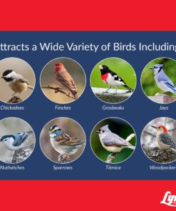 Lyric Supreme Wild Bird Seed - Wild Bird Food Mix with Nuts & Sunflower Seeds - Attracts Many Beautiful Songbirds - 4.5 lb bag 21 91H6JCwwU2L