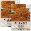 Seed Needs, Butterfly Milkweed Seeds - 100 Heirloom Seeds for Planting Asclepias tuberosa - Open Pollinated & Untreated, Attracts Monarch Monarchs (2 Packs) 2 Packs (200 Seeds) 22 91HIssWEgL