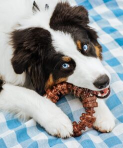Alternative view of Nylabone Power Chew Textured Dog Chew Ring Toy - Tough and Durable Dog Chew Toy - Indestructible Dog Toys for Aggressive Chewers - Flavor Medley, X-Large/Souper (1 Count) X-Large 50+ lbs. Textured Ring