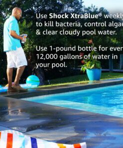 Clorox Pool&Spa Shock XtraBlue 1 lb 24 91HUizTQOXL 3