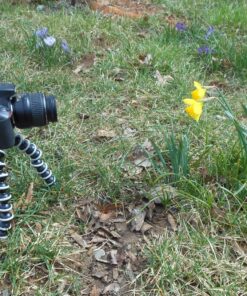 JOBY GorillaPod SLR Zoom. Flexible Tripod for DSLR and Mirrorless Cameras Up To 3kg. (6.6lbs). Leg Only GorillaPod SLR Zoom Stand 25 91HWlMUvNmL