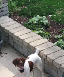 KONG - Extreme Ball - Durable Rubber Dog Toy for Power Chewers, Black - for Medium/Large Dogs 37 91HakaeOMrL