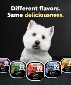 CESAR Adult Wet Dog Food Loaf & Topper in Sauce Rotisserie Chicken Flavor with Bacon & Cheese, 3.5 oz. Easy Peel Trays, Pack of 24 3.5 Ounce (Pack of 24) 30 91HiE6AF1ZL 3