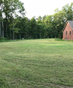 Scotts Turf Builder Grass Seed Bermudagrass, Mix for Full Sun, Built to Stand Up to Heat & Drought, 5 lbs. 5 lb. 89 91HptSjNHsL