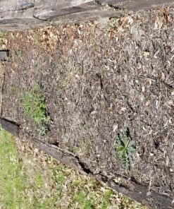 Sun Joe MJ401E 14-Inch 12-Amp Electric Lawn Mower w/Collapsible Handle for Storage, 3-Position Height Control, 10.6-Gallon Bag, Green Original Version 65 91HviOdbJDL