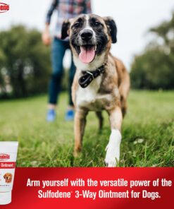 Alternative view of Farnam Sulfodene Dog Wound Care Ointment, Relieves Pain & Prevents Infection For Dog Cuts, Scrapes, Bites and Injuries, 2 Ounce