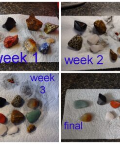 NATIONAL GEOGRAPHIC Starter Rock Tumbling Kit - Durable Leak-Proof Polisher for Kids Complete Geology Hobby Science Kit, Rocks and Crystals Kids, A Great STEM Activity 44 91ICdyRn2cL