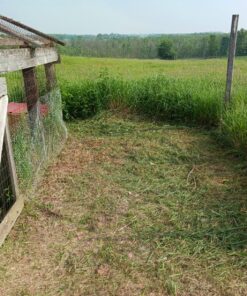 Greenworks 40V 12" Cordless String Trimmer, 2.0Ah Battery and Charger Included 12" Trimmer (2.0Ah) 38 91ITREacouL