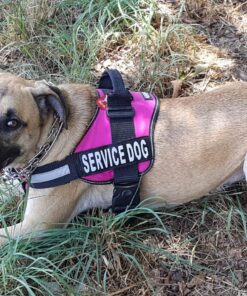 Leashboss Short Dog Leash for Dog Training | Padded Traffic Handle Short Leash for Dog Training, Total Comfort when Dog Walking | Traffic Leash for Dogs Large, Medium, Small | Short Nylon Dog Lead 12 Inch Black 54 91IoHFfjM5L