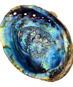 Alternative view of Hand Selected Abalone Shell, 6 Inches or Larger. Perfect for Holding Incense, Trinkets, and More