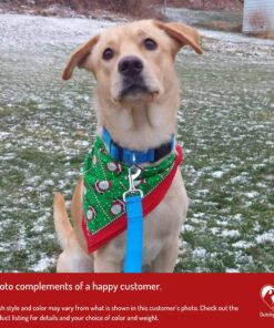 Dutchy Brand Pets Lovers Club Durable Dog Seatbelt - Heavy Duty Strap, Reflective Lines, 2 Adjustable Sizes (15-25in or 22-37in) Fits Small, Medium, Large, Extra Large Dogs Red with Reflective Stripes 20 91IwgNK7waL