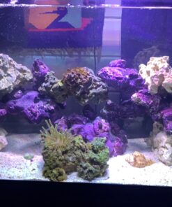 Seachem PhosGuard, 100 mL bagged - 67101850 25 91IzR9aatdL