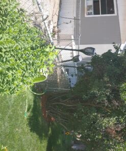 Aityvert Upgraded Larger Solar Torch Lights, Waterproof Outdoor Dancing Flames Lights, Flickering Flames Garden Lights, Landscape Decoration Pathway Patio Lights 43" 96 LED (4 Pack) Pack of 4 29 91J4vYhFTBL