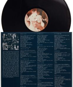 Lungs Lungs 17 91J72B0INOL