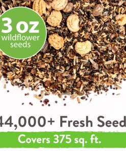 90,000 Wildflower Seeds - 3oz Pure Wild Flower Seed Pack - 25 Variety - Perennial Flower Seeds for Attracting Birds & Butterflies - Open Pollinated, Flower Garden Seeds for Planting Outdoors Perennial (3oz) 36 91JAQo2dFML 2