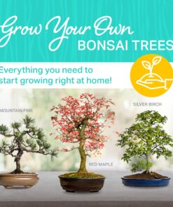 Plant Theatre Bonsai Tree Kit - Indoor Plant Growing Kit w/ 3 Mini Bonsai Seed Packs, 6 Pots, 6 Peat Discs and 6 Propagator Bags - Gardening Gifts for Men, Women and Room Decor - Crafts for Adults 30 91JB71hGfKL