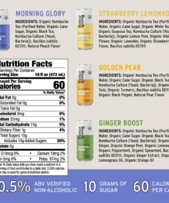 Better Booch Organic Kombucha - Probiotic & Antioxidant Rich Raw Sparkling Tea - Low Sugar, Vegan, Gluten Free - Gut Healing Active Cultures - Best Sellers Variety Pack, 16 Fl Oz Cans, 12-Pack 12 91JIOS3zLL