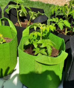 Ming Wei Garden Plant Bags / 6-Packs 5 Gallon Grow Bags/Aeration Fabric Pots/Handles (Black) Black 35 91JNWfQhHQL