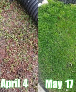 Scotts EZ Seed Patch & Repair Sun and Shade Mulch, Grass Seed, Fertilizer Combination for Bare Spots and Repair, 4 lb 3.75 lb. 1 Pack 51 91JOb0ZMnL