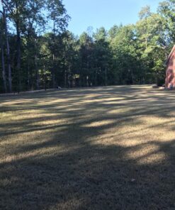 Scotts Turf Builder Grass Seed Bermudagrass, Mix for Full Sun, Built to Stand Up to Heat & Drought, 5 lbs. 5 lb. 90 91JUlZFJuUL