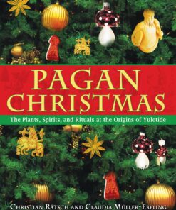 Pagan Christmas: The Plants, Spirits, and Rituals at the Origins of Yuletide
