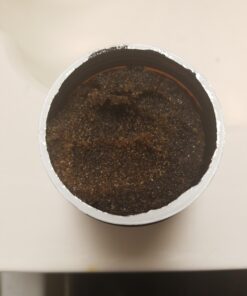 Brooklyn Botany Brown Sugar Body Scrub - Moisturizing and Exfoliating Body, Face, Hand, Foot Scrub - Fights Acne, Fine Lines & Wrinkles, Great Gifts For Women & Men - 10 oz 10 Ounce (Pack of 1) 39 91JYJsQon3L 3