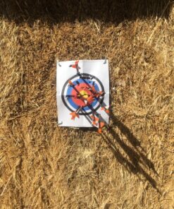 TIGER ARCHERY 30Inch Carbon Arrow Practice Hunting Arrows with Removable Tips for Compound & Recurve Bow(Pack of 12) Orange White 30 91JgHpCaQAL