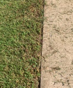 Fiskars Long-Handled Grass Shears - 36" Handle with 360-Degree Swivel Blade - Garden Shears and Grass Cutter - Black 36" Long-Handled Grass Shears 14 91JlUJ1ZqAL