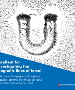 Dowling Magnets Alnico Magnet Science Kit. Magnets for Kids Including 2 Horseshoe Magnets, 1 Bar Magnet, Iron Filings and Iron Shapes for Fun Science Experiments. Item 731009. Ages 8+ 13 91JuEClc10S