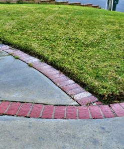 Worx Edger Lawn Tool, Electric Lawn Edger 12 Amp 7.5", Grass Edger & Trencher WG896 12-Amp 7.5" Electric Lawn Edger & Trencher 62 91Jv3EeBInL