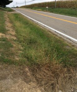 Grass Gator 3600 Weed I Light Duty Bladed Replacement Trimmer Head 11 91JvPgyurgL