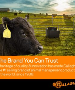 Gallagher Electric Fence Poly Wire | Bonus Pack - 1312 Ft Plus Free 328 Ft Roll | 6 Stainless Steel Strands for Reliable Conductivity and Rust Resistance | 1/16" Diameter Polywire | UV Resistant 1-Pack 10 91K83bfmXdL