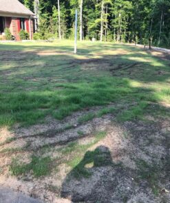 Scotts Turf Builder Grass Seed Bermudagrass, Mix for Full Sun, Built to Stand Up to Heat & Drought, 5 lbs. 5 lb. 91 91KOtWRTvL