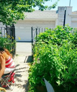 7-Piece Garden Tool Set with Tote and Folding Stool Seat by Bo Toys 7 91Kmr5qD1L